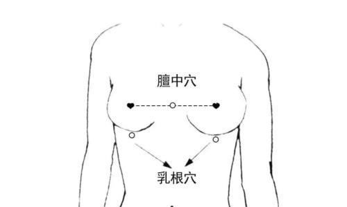 催乳师不外传的几个催乳穴位,重庆六合学校教给你