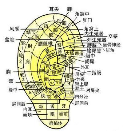 痛经痛得不能忍！中医教你用耳穴贴“压制”