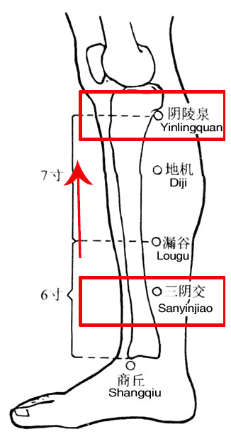 久坐导致脾虚湿气重，坚持推推小腿这条线可改善